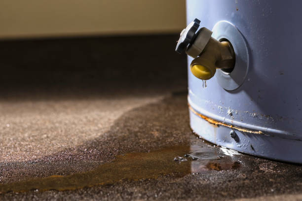 Best Local water damage restoration  in Beechwood, MI
