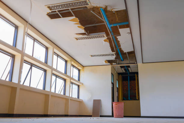 Best Professional water damage repair  in Beechwood, MI