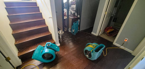 Best Basement water damage restoration  in Beechwood, MI