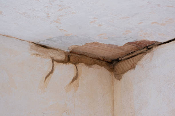 Best Water damage restoration near me  in Beechwood, MI