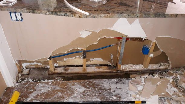 Best Water damage contractors near me  in Beechwood, MI