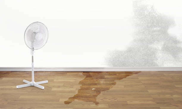 Best Fire Damage Restoration  in Beechwood, MI