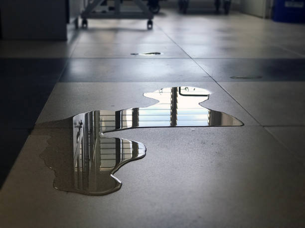 Best Local water damage restoration  in Beechwood, MI