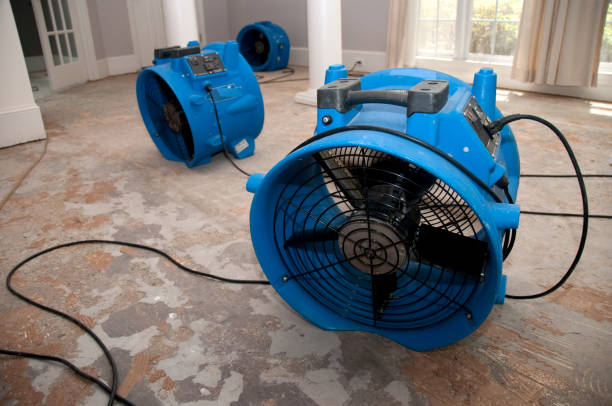 Water damage restoration experts in MI