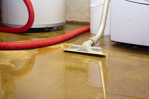 Best Water damage restoration insurance claims  in Beechwood, MI
