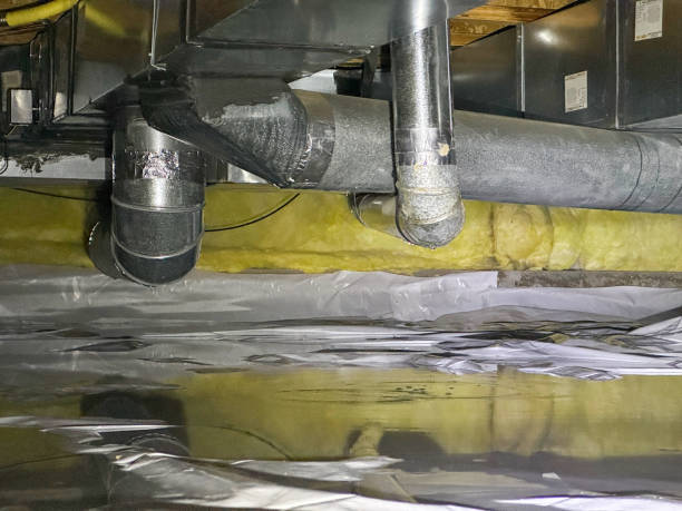 Best Water damage restoration near me  in Beechwood, MI