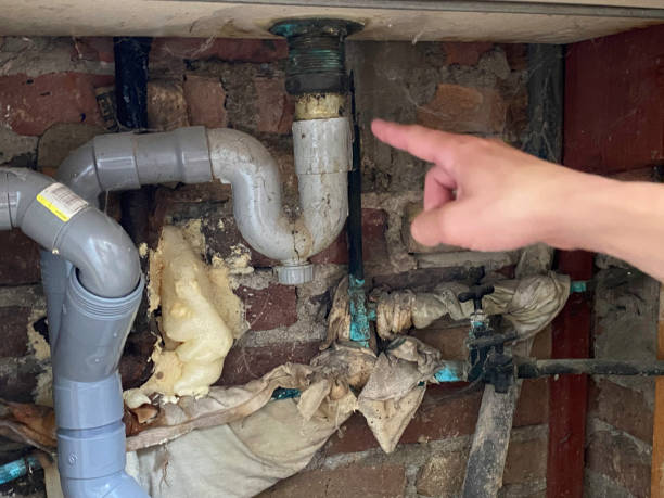 Best Sewage cleanup and water damage restoration  in Beechwood, MI